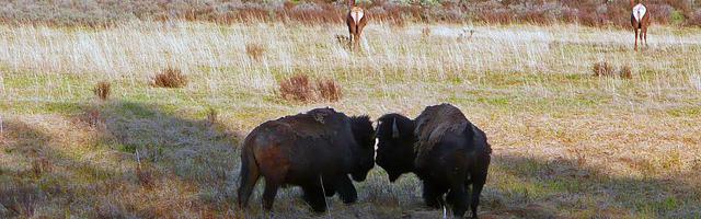 上門龍婿葉辰蕭初然_第3086章 確實太難了！