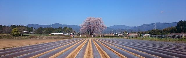 詭異監管者繁體免費章節，邀您共賞