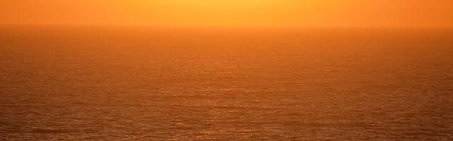 都市神醫葉辰很囂張_第57章 不會這葉先生就是阿辰吧