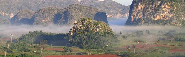 上門龍婿葉辰蕭初然_第138章 蕭初然戰斗力爆表！