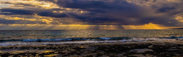 上門龍婿葉辰蕭初然_第3210章 Ai模型交付