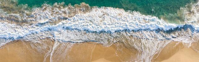 上門龍婿葉辰蕭初然_第42章 葉先生我錯了