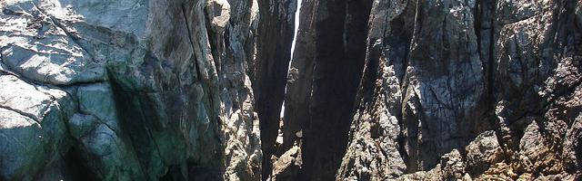 網游：我能無限合成超級寵物繁體免費章節免費享，期待您的品鑒