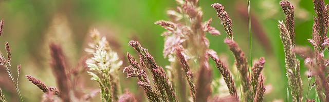 舉國隨我攻入神魔世界繁體免費章節，邀您共賞