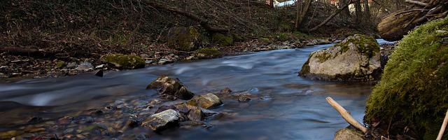 都市神醫葉辰很囂張_第12117章 機緣？