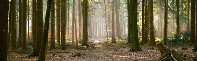 朕又不想當皇帝繁體免費章節免費享，期待您的品鑒