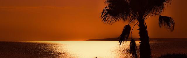 怪物被殺就會死繁體免費章節免費享，期待您的品鑒