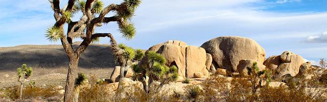 都市神醫葉辰很囂張_第79章 變天了！