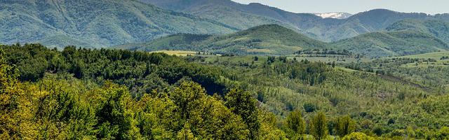 末世不止眼前的物資繁體免費章節，邀您共賞