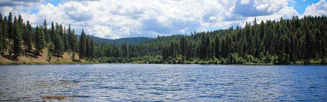 都市神醫葉辰很囂張_第65章 決定！（求推薦票！）