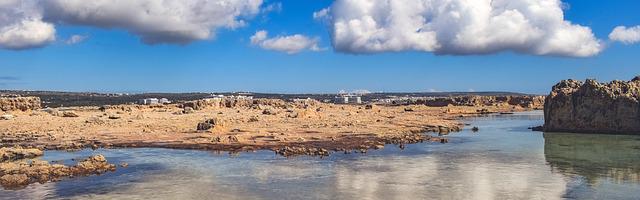 都市神醫葉辰很囂張_第11718章 你的身份