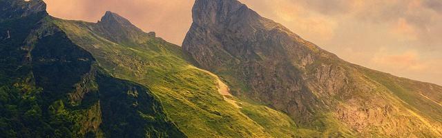 都市神醫葉辰很囂張_第15章 臥槽！醒了！