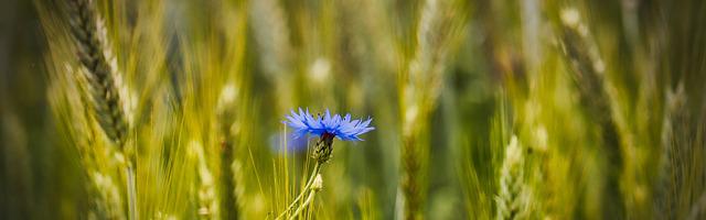 上門龍婿葉辰蕭初然_第3328章 火力全開