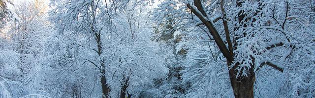 這才不是重裝機兵繁體免費章節，邀您共賞