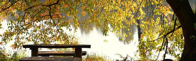 上門龍婿葉辰蕭初然_第3287章 簡直就是詐騙！