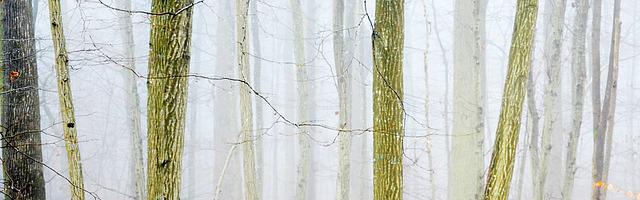 上門龍婿葉辰蕭初然_第102章 讓我先享受！