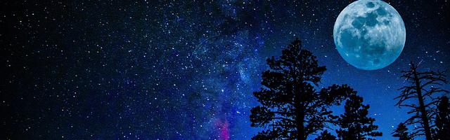 都市神醫葉辰很囂張_第130章 一觸即發！