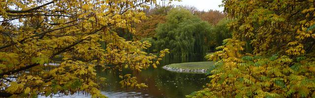 我的姐姐是校花繁體免費章節，邀您共賞