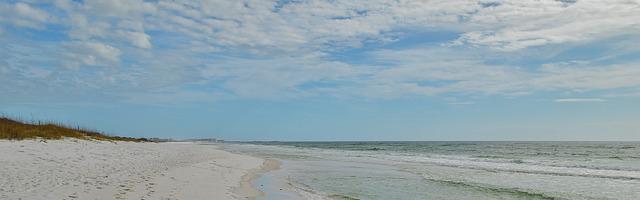 上門龍婿葉辰蕭初然_第3338章 有你這樣的嗎？