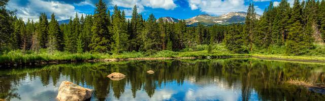 都市神醫葉辰很囂張_第31章 這五年你經歷了什么！