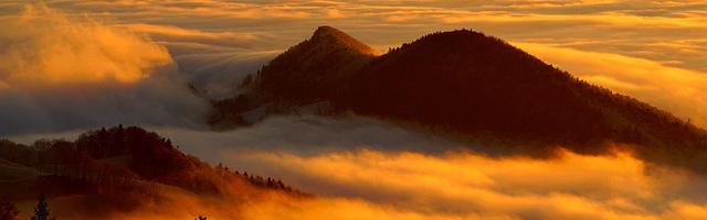 都市神醫葉辰很囂張_第114章 我的保證！（求推薦票！）