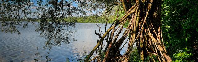 斗羅：絕世之光繁體免費章節免費享，期待您的品鑒