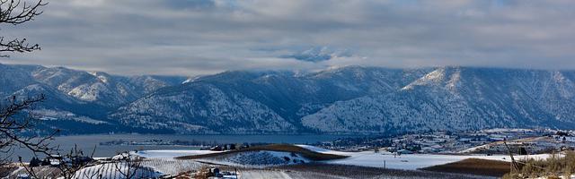 快穿：宿主狠起來自己都捅繁體免費章節，邀您共賞