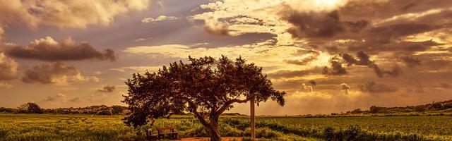 都市神醫葉辰很囂張_第12123章 都來了