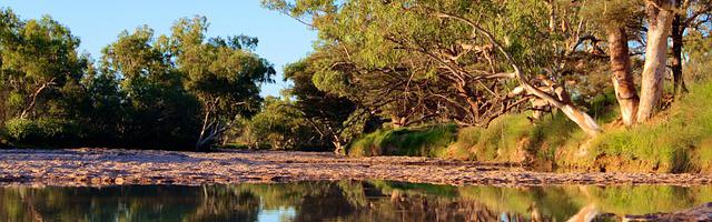 上門龍婿葉辰蕭初然_第3150章 吃軟飯的老吊絲