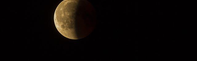 上門龍婿葉辰蕭初然_第279章 生無可戀的吳奇