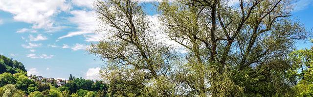 上門龍婿葉辰蕭初然_第3093章 無立錐之地