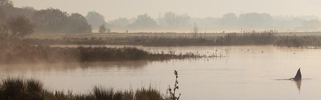變身之我的系統有毒繁體免費章節免費享，期待您的品鑒