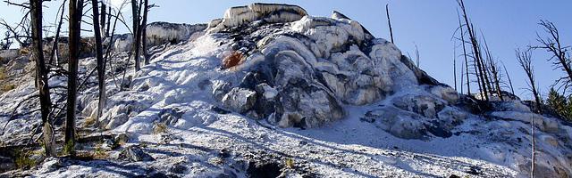 上門龍婿葉辰蕭初然_第33章 好好聚一聚
