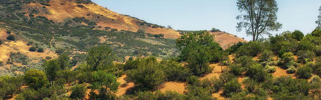 河神新娘繁體免費章節，邀您共賞