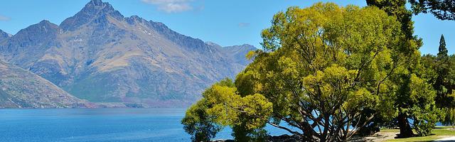 上門龍婿葉辰蕭初然_第127章 我向您認錯