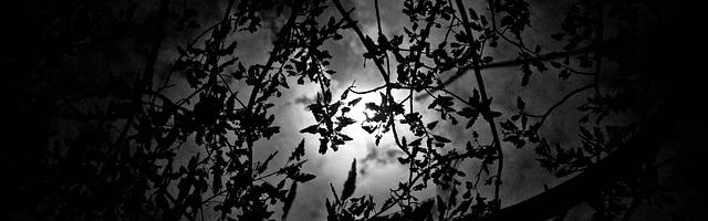 都市神醫葉辰很囂張_第88章 交易！