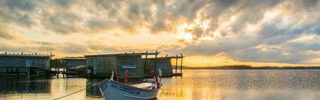 大主宰之冰封萬里繁體免費章節免費享，期待您的品鑒