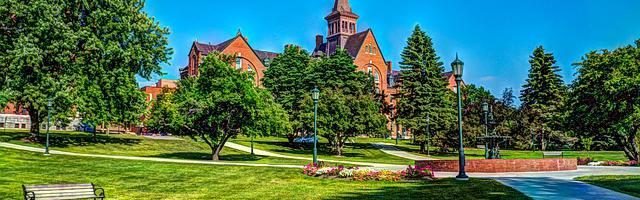 喬神你家打野超級甜繁體免費章節免費享，期待您的品鑒