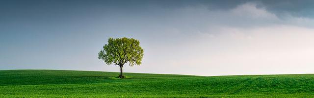 都市神醫葉辰很囂張_第12253章 昊天(三章合一)