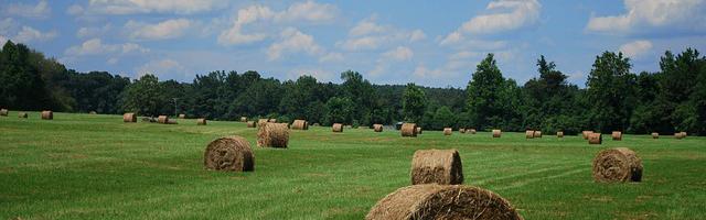都市神醫葉辰很囂張_第12191章 重要東西