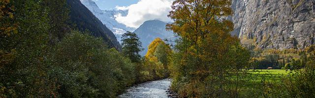 上門龍婿葉辰蕭初然_第3120章 公開處刑