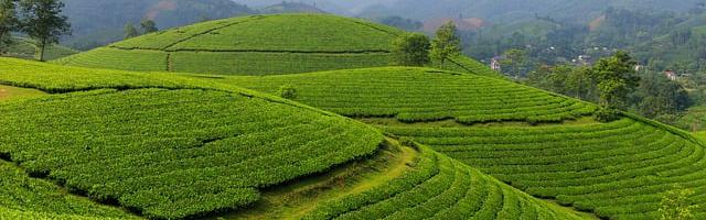 上門龍婿葉辰蕭初然_第3186章 持懷疑態度