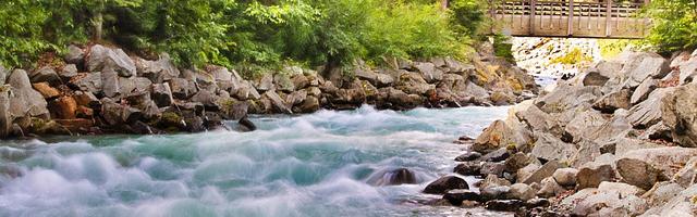 都市神醫葉辰很囂張_第12108章 翻不了天