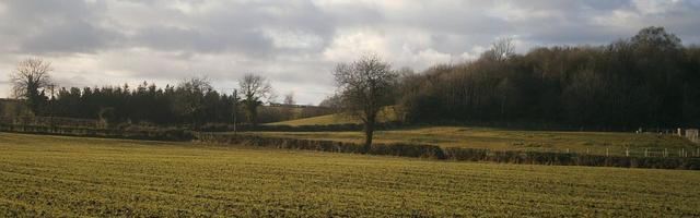 上門龍婿葉辰蕭初然_第3319章 一輩子抬不起頭