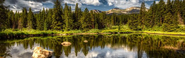 上門龍婿葉辰蕭初然_第84章 這逼也在