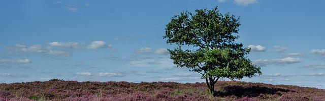上門龍婿葉辰蕭初然_第3344章 給我滾過來領人