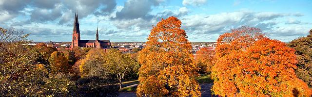 都市神醫葉辰很囂張_第12128章 你來了