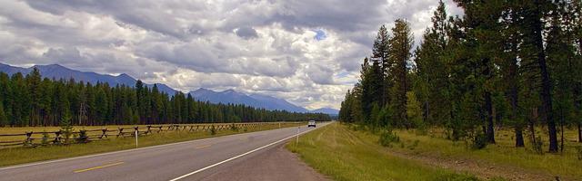 都市神醫葉辰很囂張_第12280章 殺意（三章合一）