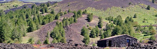 都市神醫葉辰很囂張_第176章 意外來客！（求推薦票！）
