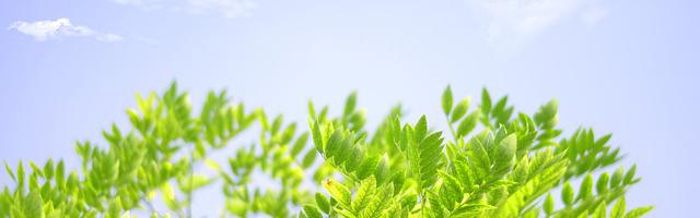 無敵喪尸進化系統繁體免費章節，邀您共賞